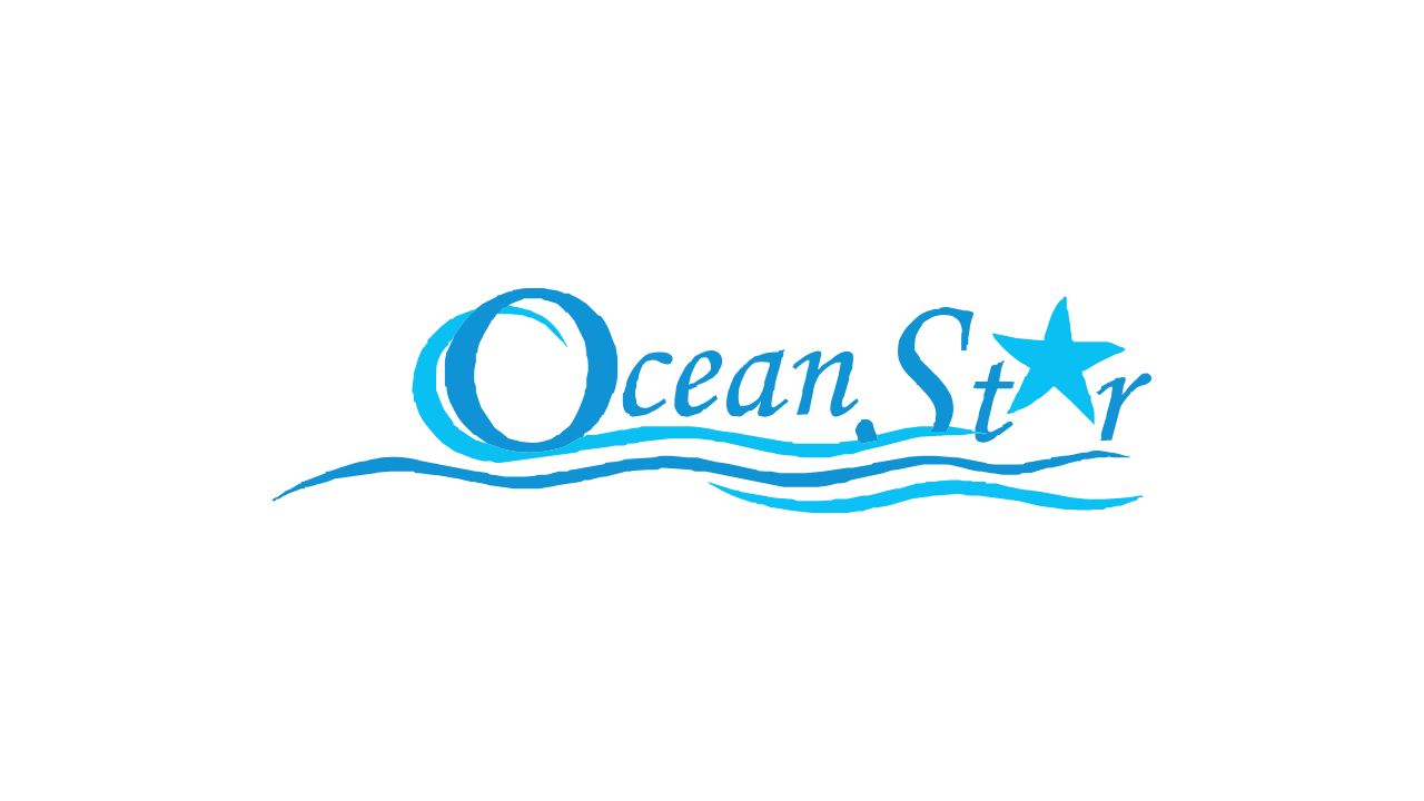Ocean Star Ship Spare Parts LLC